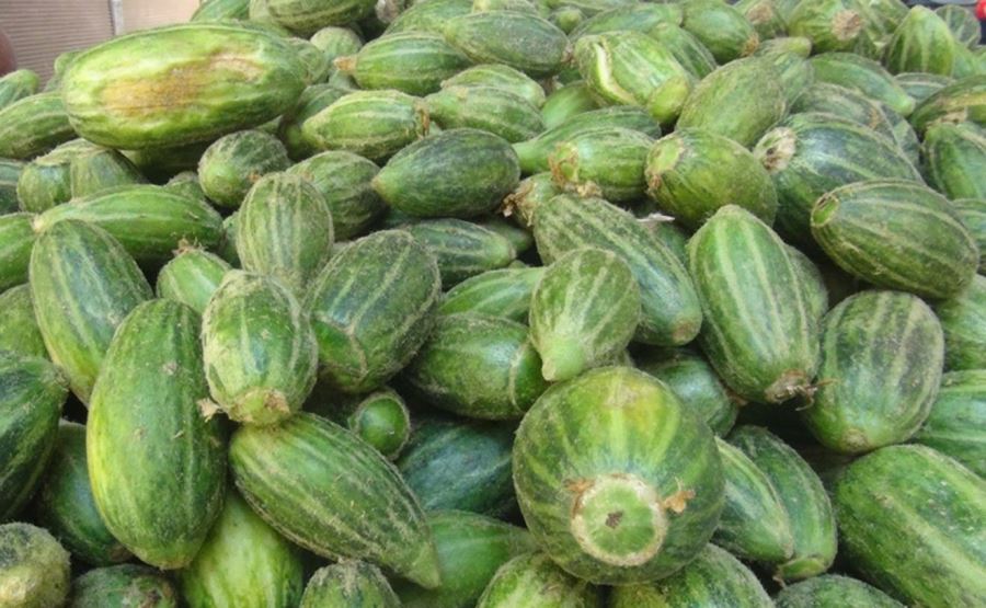 Kızıltepe’de yetişen acur tezgahlardaki yerini aldı