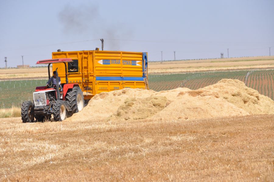 Kuraklık saman fiyatlarını uçurdu