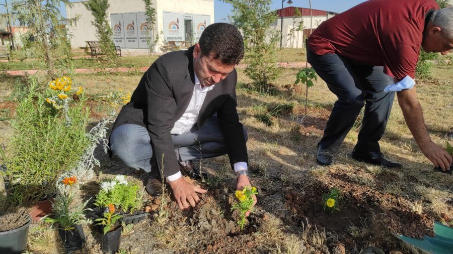 Başkan Aksoy fidan dikti