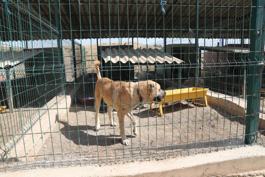 Büyükşehir’den rehabilitasyon merkezi açıklaması