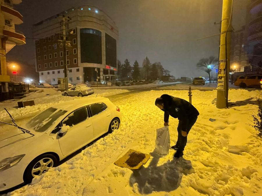 Büyükşehir Belediyesi Sokak Hayvanlarına Düzenli Mama Dağıtımı Yapıyor