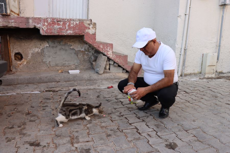 Mardin