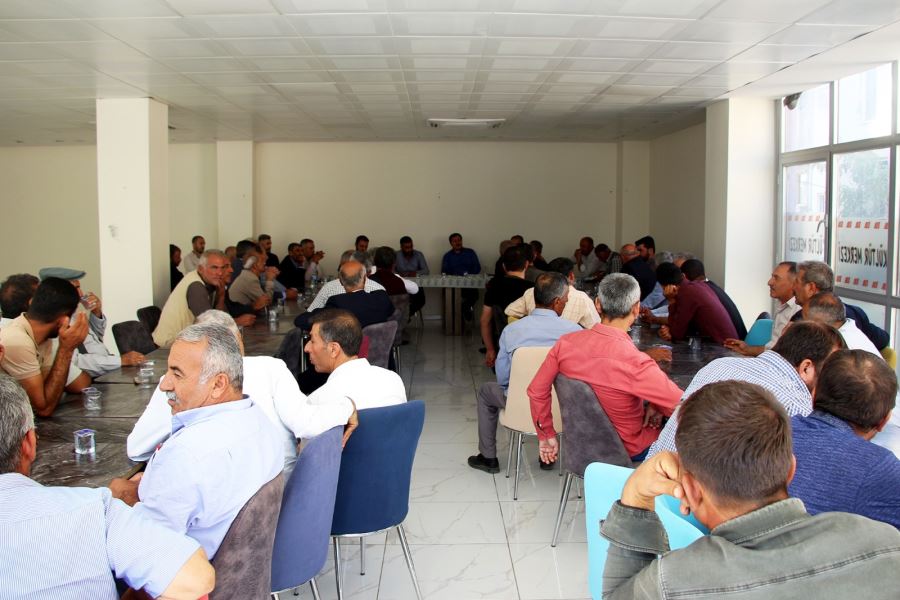 Dicle Elektrik