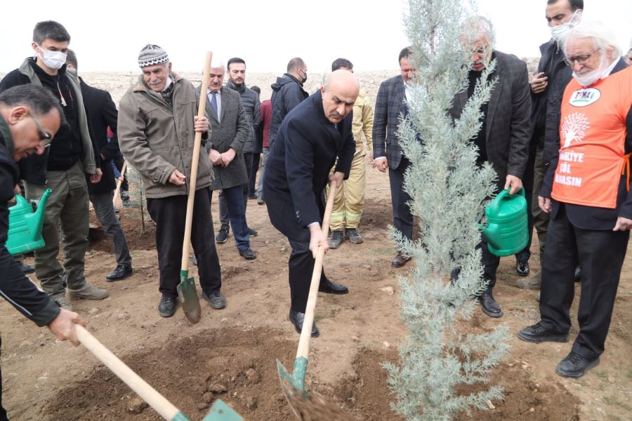 Vali Demirtaş, Fidan Dikimi Programına Katıldı