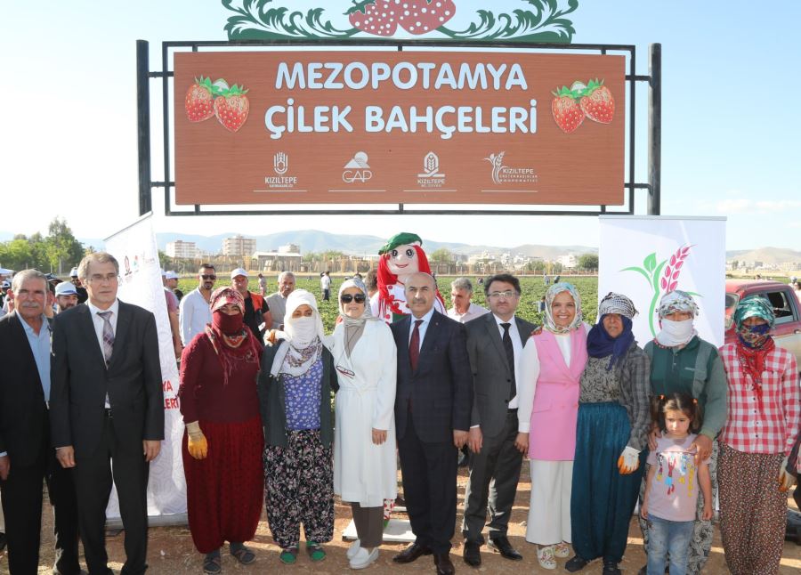 Kızıltepe