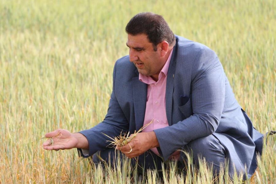 Hasat döneminde çıkan yangınlar çiftçinin geleceğini de yok ediyor