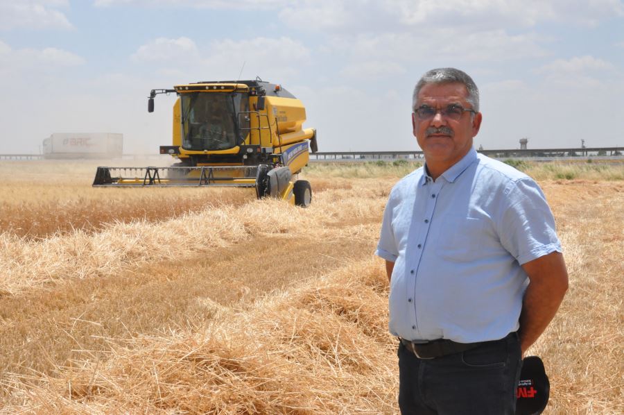 Mardin