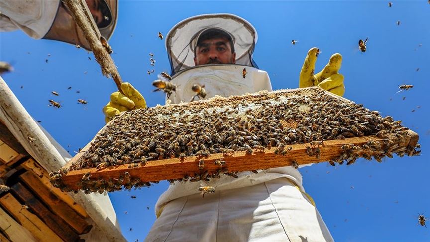 Mardin Diyarbakır ve Şanlıurfa sınırında bulunan Karacadağ