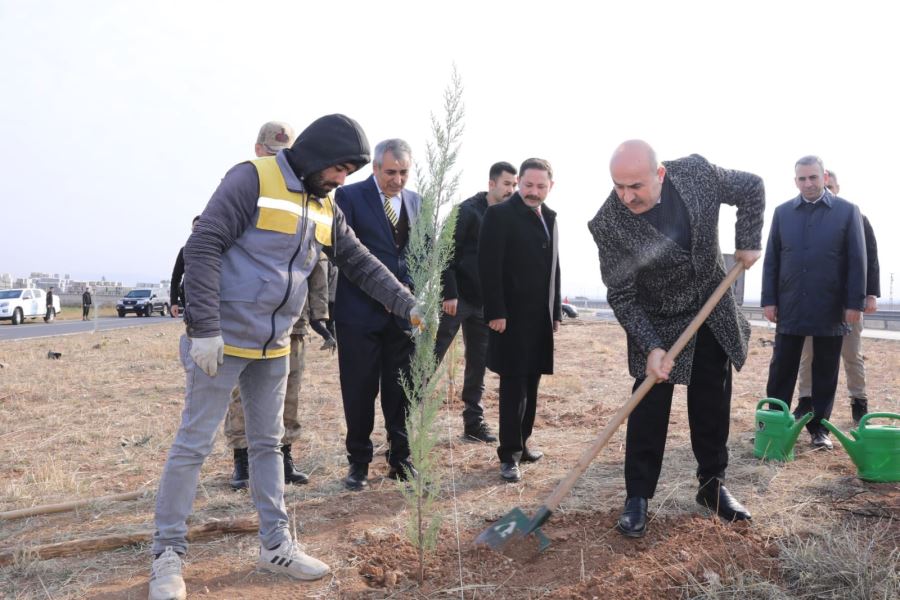 Vali Demirtaş, Nusaybin ilçesinde incelemelerde bulundu
