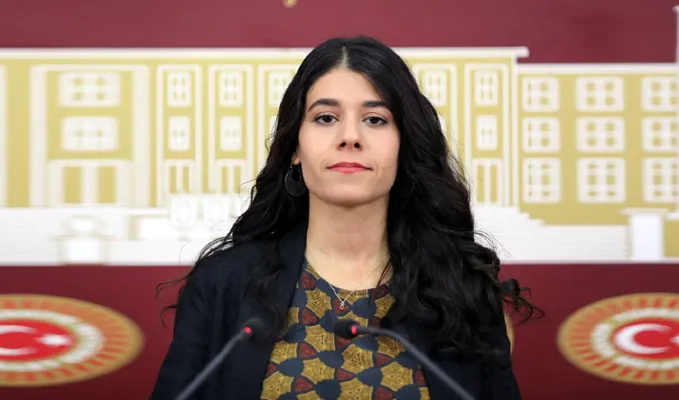 Milletvekili Beritan Güneş, gündeme getirmişti: Ceylanpınar yolu ile ilgili yeni gelişme