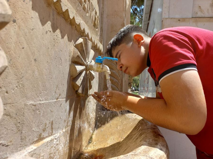 Mardin