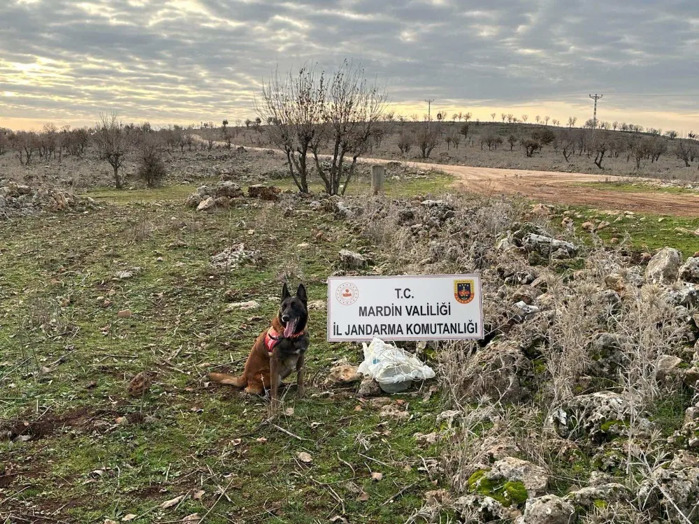 Dargeçit’te EYP ele geçirildi