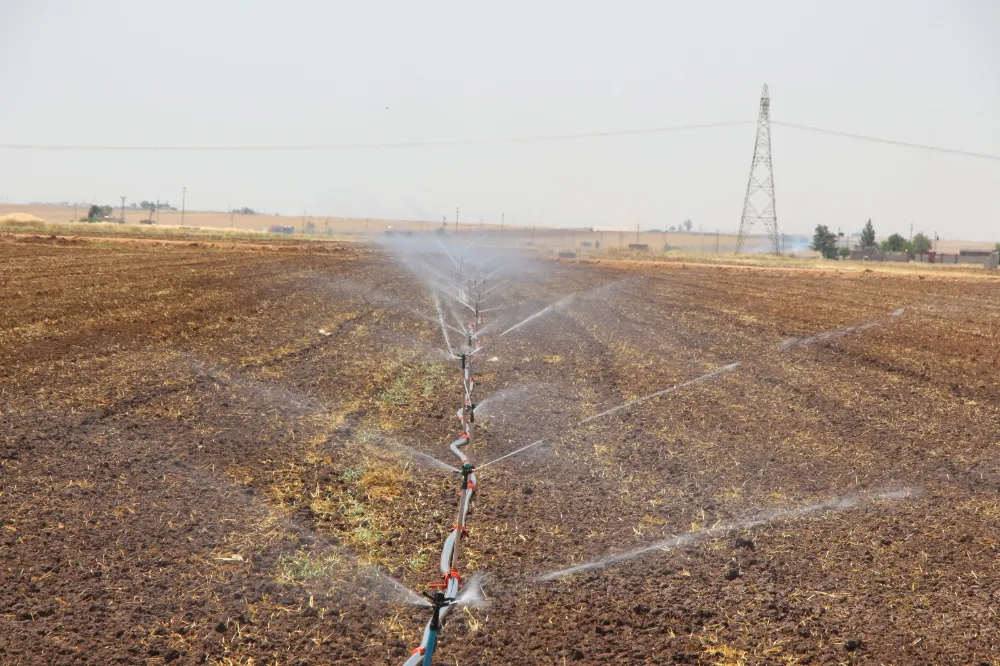 Dicle Elektrik: Mısır Ekimi Mardin’deki Enerji Arzını Tehdit Ediyor